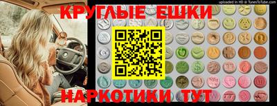 ALPHA PVP Ачхой-Мартан