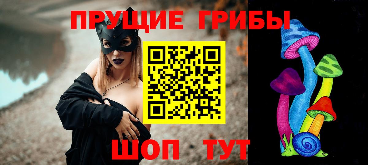 Семёнов  Псилоцибиновые грибы Psilocybe  даркнет сайт  Псилоцибиновые грибы мицелий  Вход с VPN 